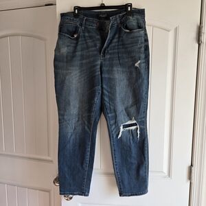 Judy Blue Light Wash Boyfriend Jeans